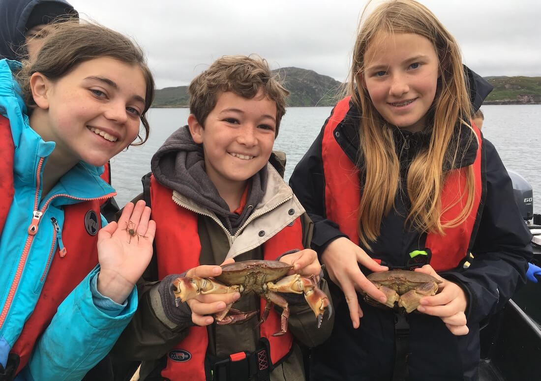 Children catching crabs at Ardmore