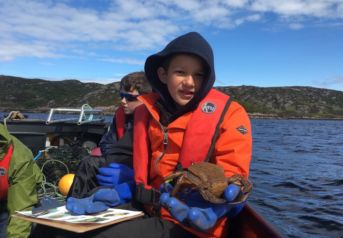 Handling velvet swimming crabs from the lobster creels